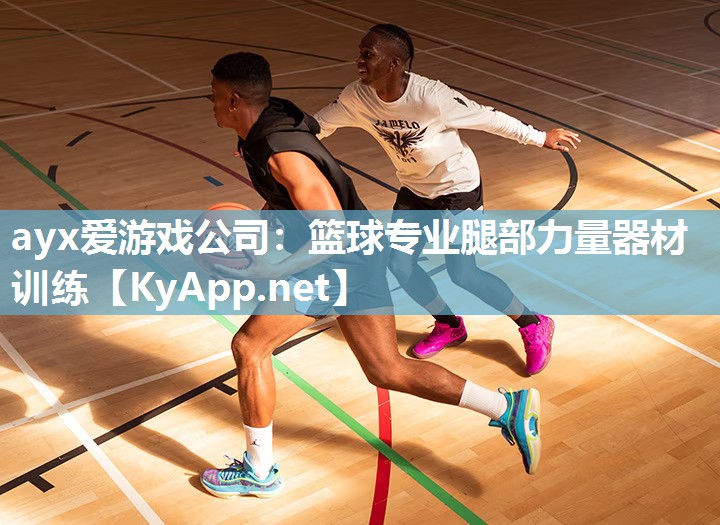 篮球专业腿部力量器材训练