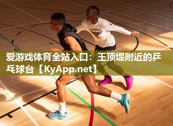 王顶堤附近的乒乓球台