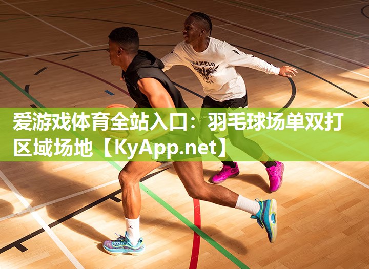 羽毛球场单双打区域场地